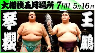 大相撲　琴櫻ー王鵬＜令和８年五月場所・７日目＞SUMO