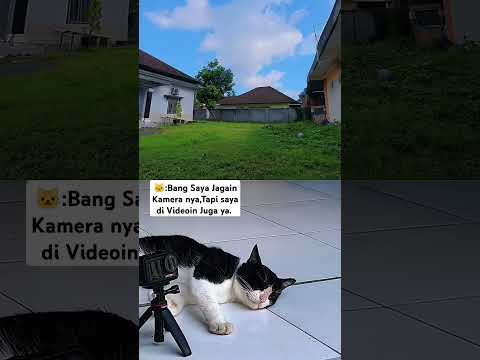 DJI Action 5Pro - Video Timelapse #djiaction5pro