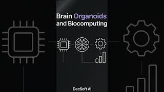 Brain Organoids Powering the Next Tech Revolution