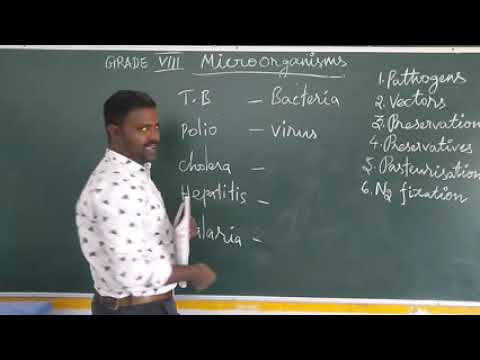 Grade 8 Microorganisms 2