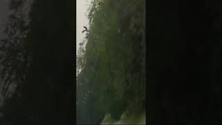 #rainlove