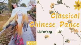 LiuFuYang Classical Chinese Dance | 刘福洋《虞兮叹》| Choreography/Dancer: LiuFuYang | 编舞/表演：刘福洋