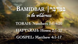 Parashat Bamidbar | Sefirat haOmer Part 2 | OAM Shabbat Fellowship 05-31-25