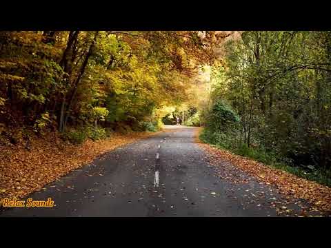 Meditation, Relax Sounds, Spa Music, Healing Music, Stress Relief Music, Sleep Music, Music 24/7