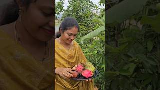 fruits harvesting #fruits #soursop #mygarden #organicfarming #gardening #short #viralvideo #trending