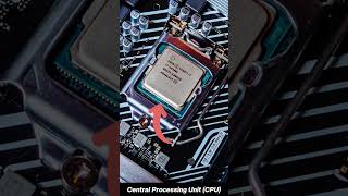 The processor (CPU) explained without technical jargon. #techforbeginners #centralprocessingunit