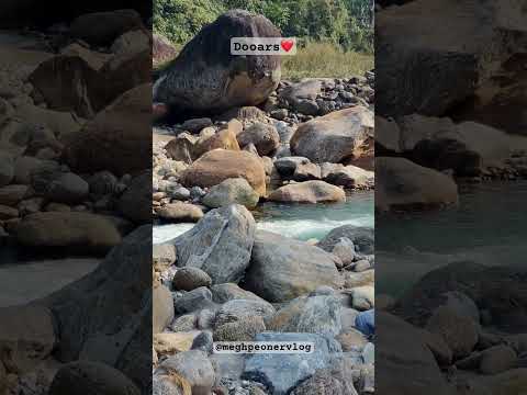 Dooars diaries ❤️ #shreyaghoshal #travelvlog #travelinspiration #arijitsinghsongs #svf #dooars