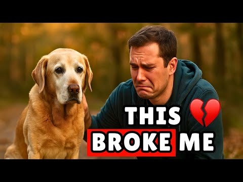 12 Brutal Truths About Dogs That Owners LEARN Too Late!