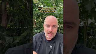 Growing Your New Business with Google Ads #googleads #business