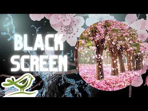 [NO ADS] Beautiful Day | Waterfall Sounds/White Noise & Piano Sleep Music by Peder B. Helland
