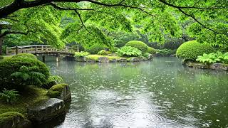 Soft Rain Sounds for Deep Sleep & Relaxation: Your Ultimate Focus Aid