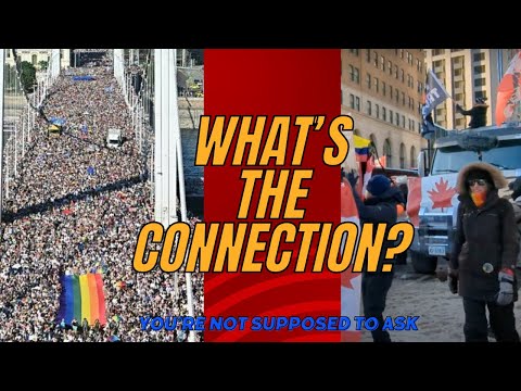 What Do Canadian Freedom Convoy and Budapest Pride Have in Common?