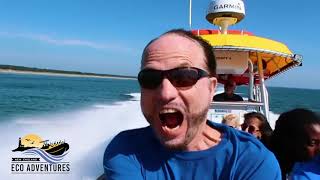New England EcoAdventures. Adventure lighthouse tour of the Southern Maine Coast.