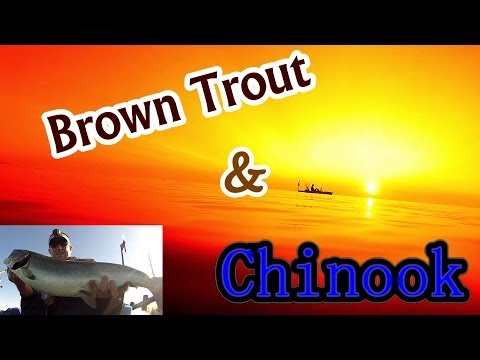 Chinook and Brown Trout Kayak Fishing