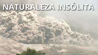 NATURALEZA INSÓLITA | Fenómenos naturales que No parecen reales