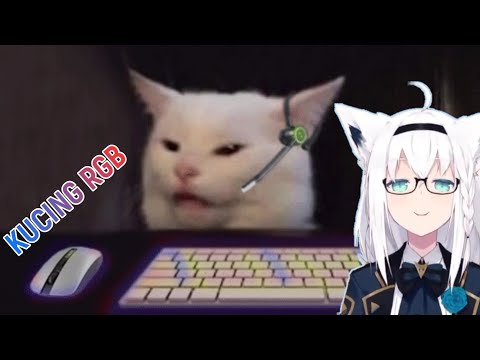 RGB Kucing