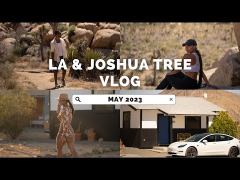 JOSHUA TREE and L.A. VLOG: MAY 2023