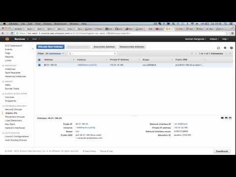 Elastic IP
