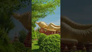 Climbing to Thailand’s Golden Temple 🛕🇹🇭 | Tiger Cave Temple #shorts