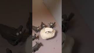 ⚗️ The Typst Guys do SCIENCE