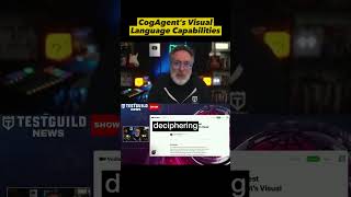 CogAgent's Visual LanguageCapabilities 💡