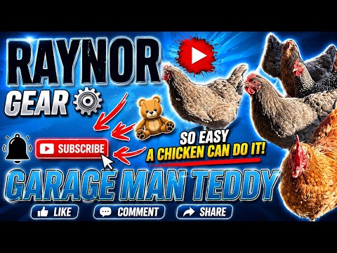 Mr Chicken 1/2 HP RAYNOR garage door opener gear & sprocket replacement. Chamberlain Liftmaster