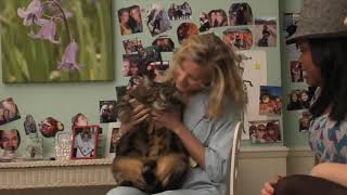 happy/soft brittany logoless scenes