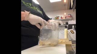 The Life of a Naan Bread: From Conception to Consumption