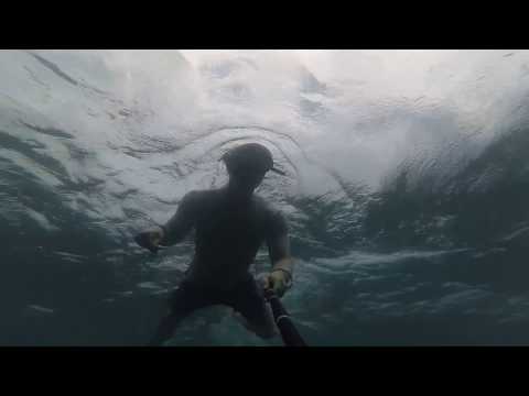 snorkeling at some reef
