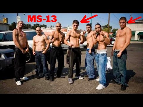 THUG LIFE to Pro Fighters | Diaz Brothers MMA