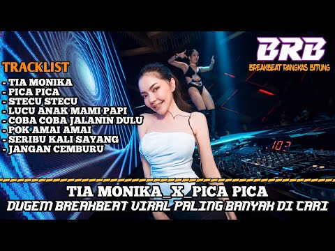 DJ TIA MONIKA x PICA PICA VIRAL 2025 | DUGEM BREAKBEAT PALING DI CARI
