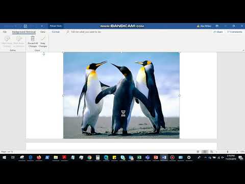HOW TO REMOVE PHOTO BACKGROUD IN OFFICE WORD