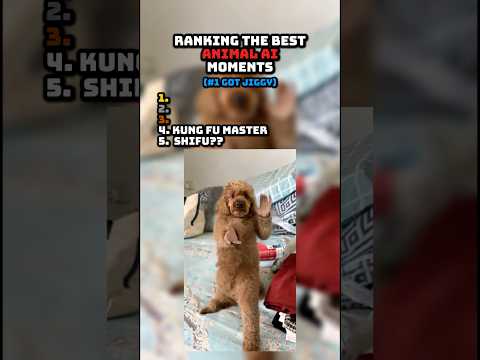 Ranking the Best Animal AI Moments 😂