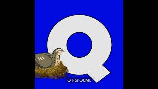 WORDS WITH ALPHABET Q #alphabets #wordsofwisdom #words #learn #Q #alphabet #quicklearn #homestudy