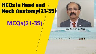 MCQs in Head and Neck Anatomy (21- 35)