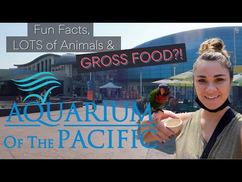🐋 AQUARIUM OF THE PACIFIC • Bad Food • Great Day • Fun Facts • Long Beach, CA