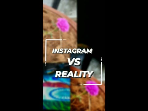 Instagram vs reality||Reels||short video||friends-annie||funny song