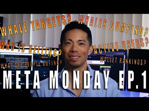 Meta Monday Ep1: Analyzing Veve Metadata To Find Whale Trends, User Activity and More!
