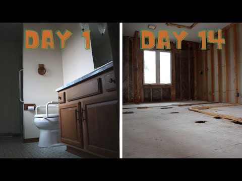 2 Week Progress Update on My Whole House Renovation
