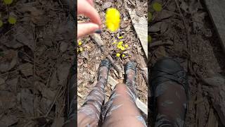 Rate my spring fit. #ratemyfit #springoutfit #springvibes