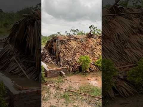 Typhoon Yagi swept away the entire farm. #storm  #stormYagi #yagi #building #buildinglife