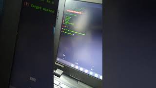 I'm a black hat for a reason #bountyhunter 🦈 #developervlog #cracking #exploit #ransomware💻