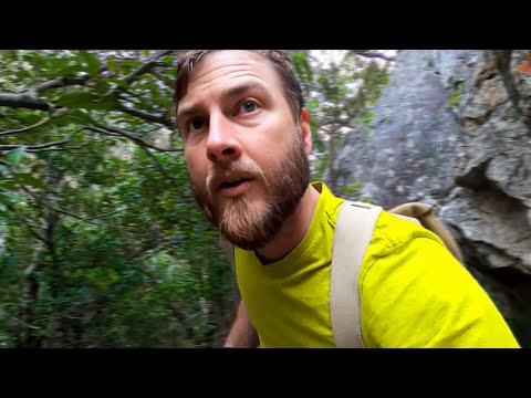 6 Most DISTURBING Camping Encounters Caught on Camera
