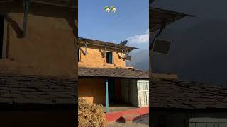 #villagelife #shortvideo #keeploving #officialchannel #organicvillagelife
