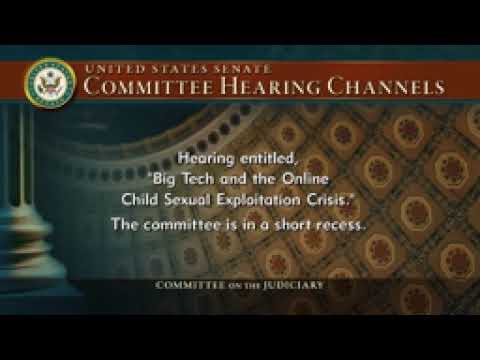 snap meta and x CEO's testify in senate hearing