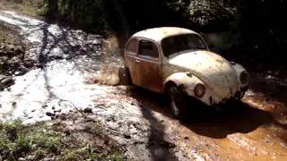 Fusquinha sarandi rs- IX