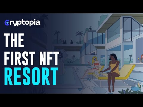 What I've Been Working On (My Newly Revealed NFT Project....)