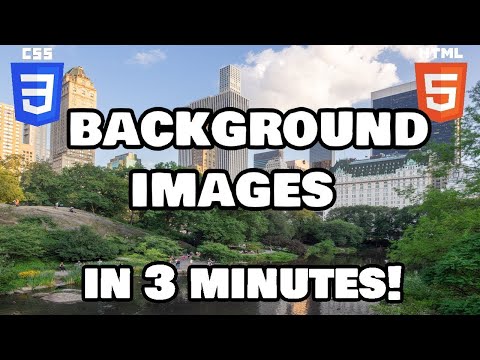 How to add Back image on your web page 2024