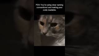 #trending #alprogramming #ALprogramming #trend #catmemes #pov #gomstechtalks