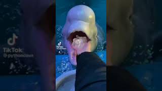 #tiktok #shorts #shorts tiktok #youriautomation #youtubecashcow